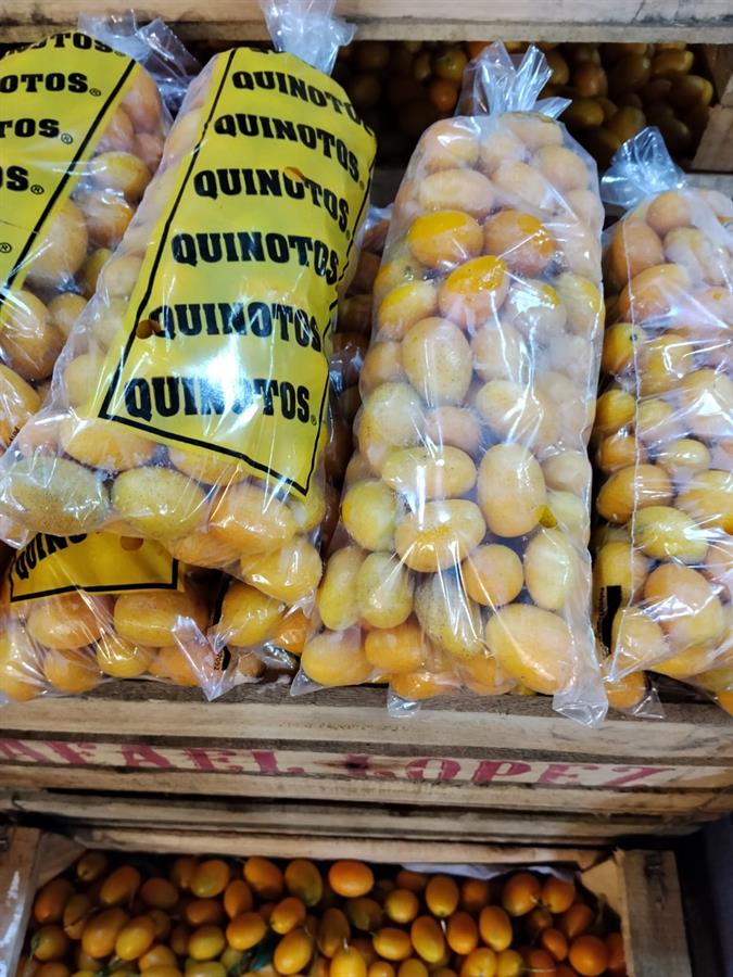 quinoto x 3 kg