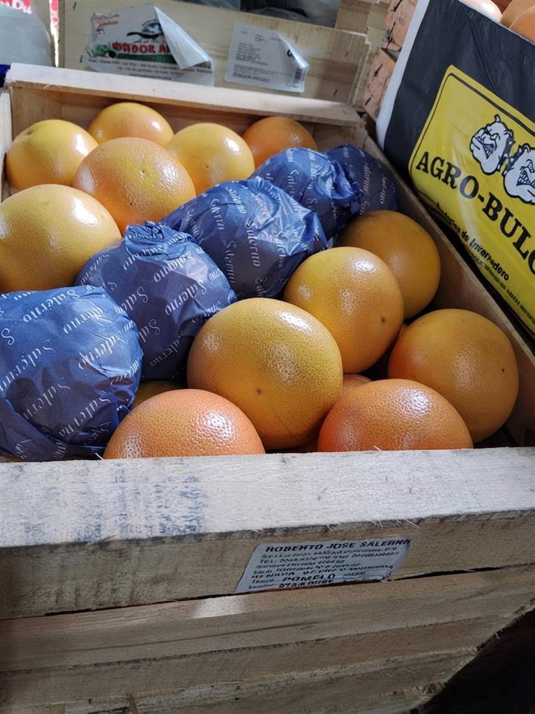 pomelo rojo grande x 17 kg