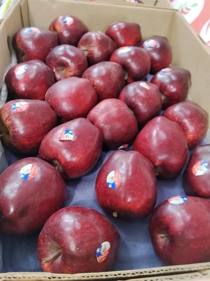 manzana roja chilena x 18 kg