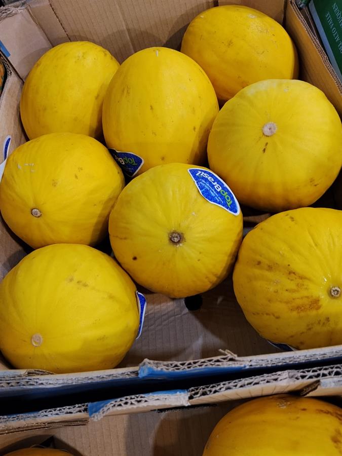 melon amarillo x 8 un