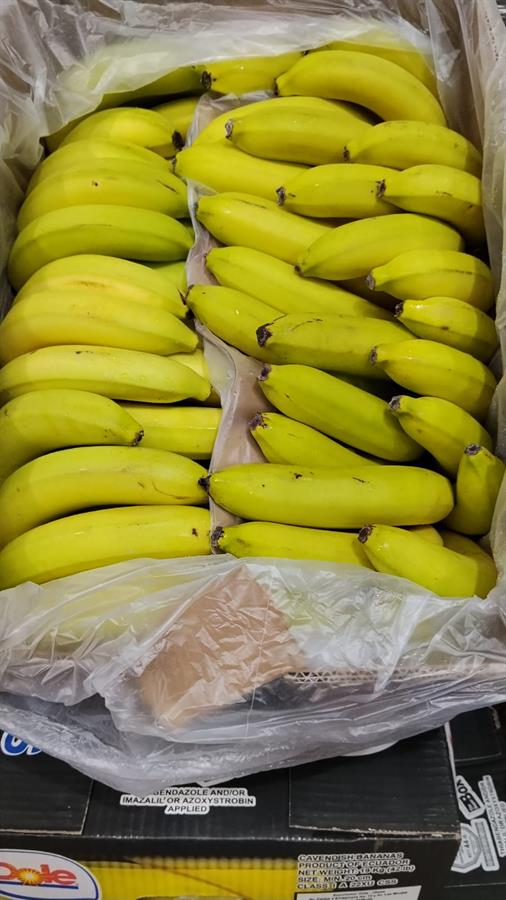 banana ecuador x 19 kg