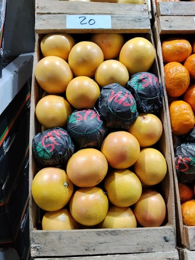 pomelo rojo mediano x 17 kg