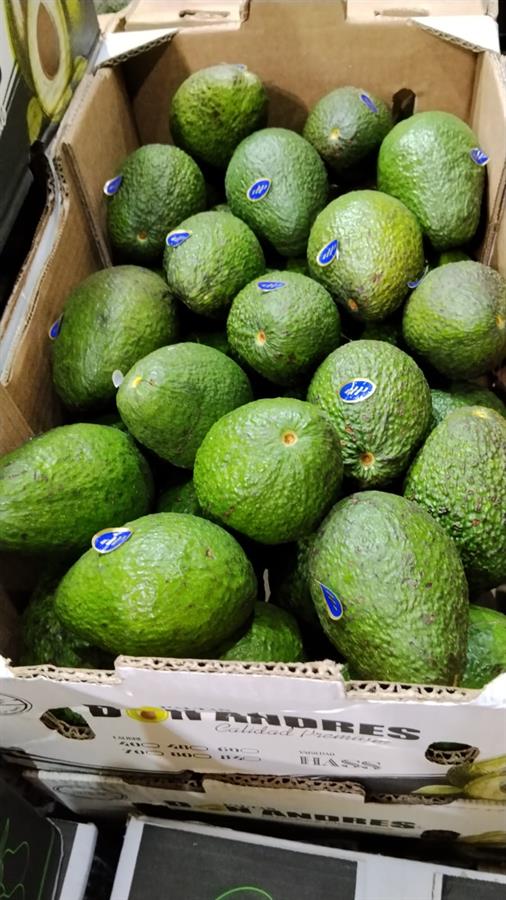 palta hass tucumana x 9 kg