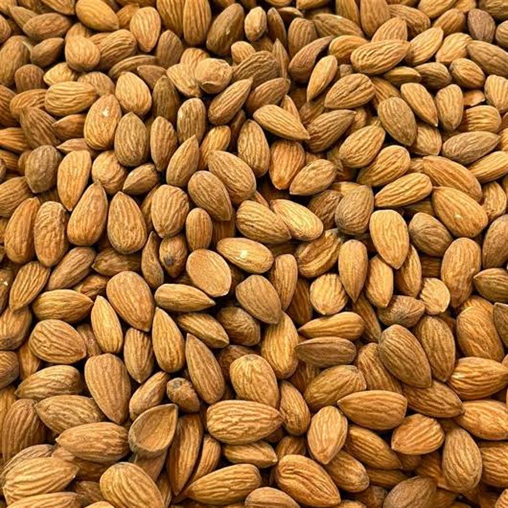 Almendra Nonpareil Importada x kg