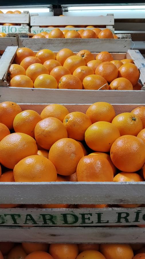 naranja ombligo San Pedro x 16 kg