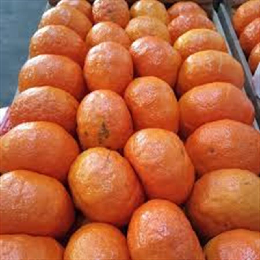 mandarina encore x 16 kg