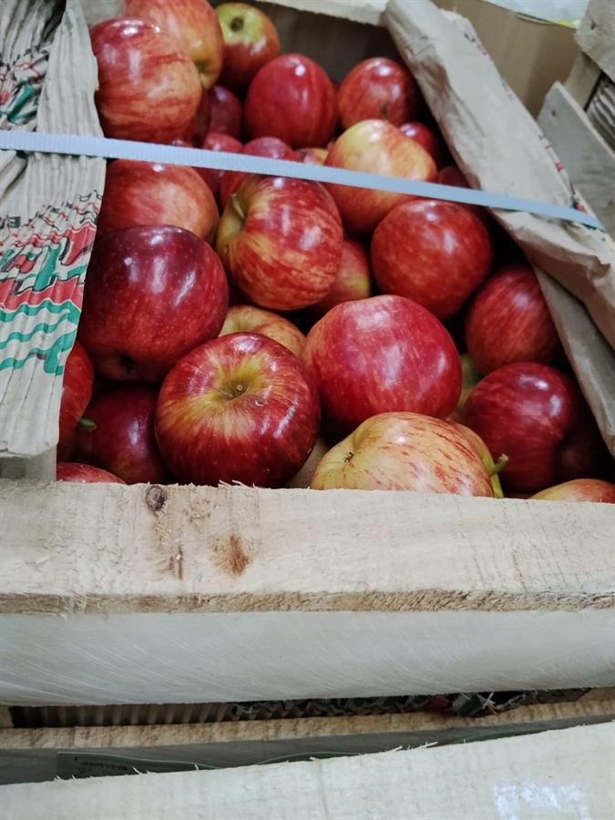 manzana red chica granel x 22 kg