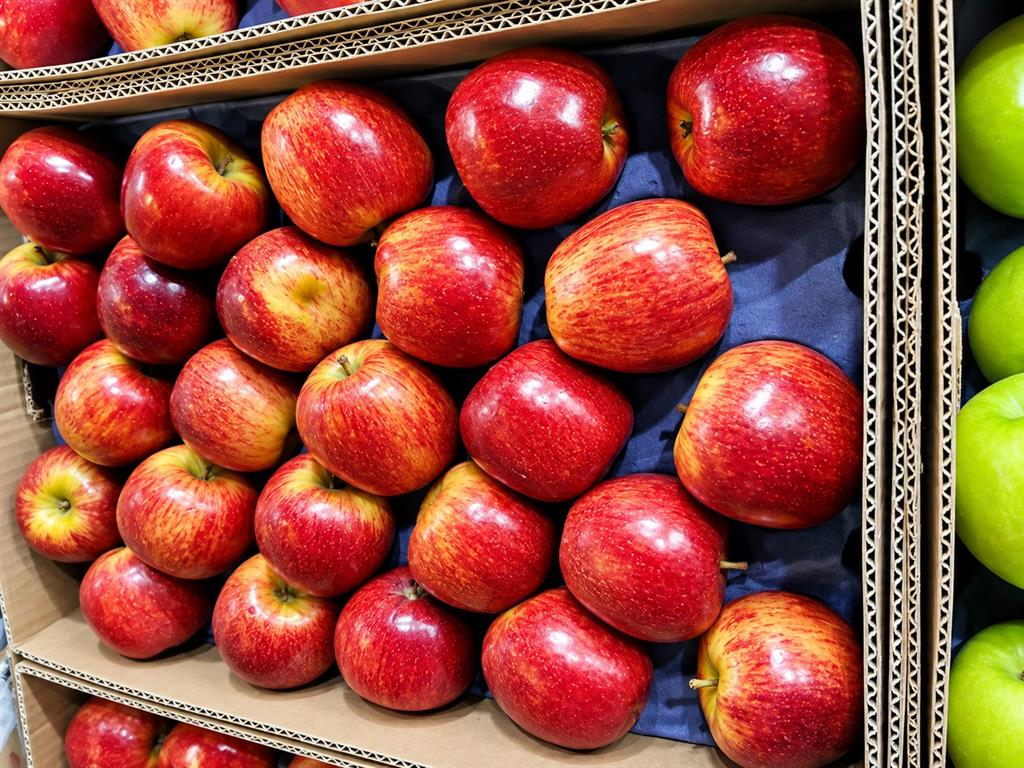 manzana red caja elegida x 17 kg