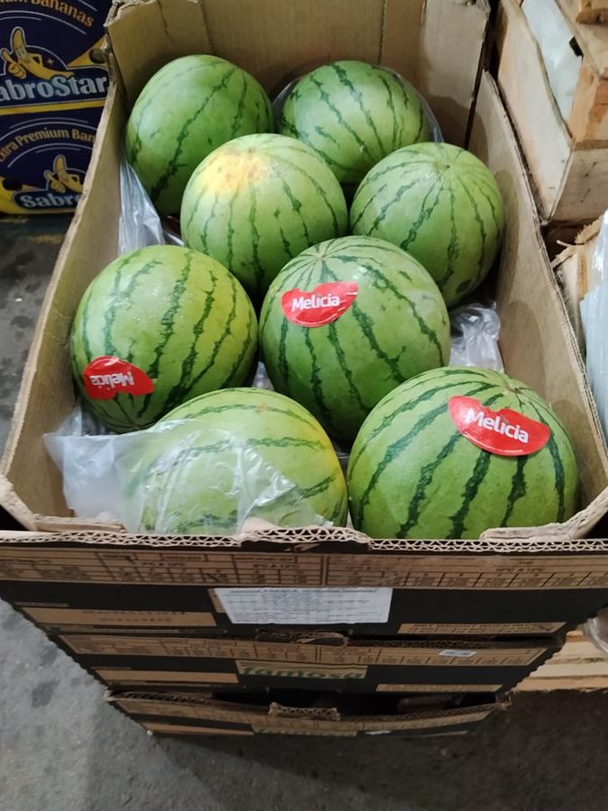 sandia crimson sweet x 8 un
