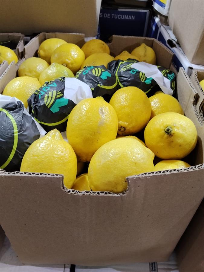 limon caja elegido x 17 kg