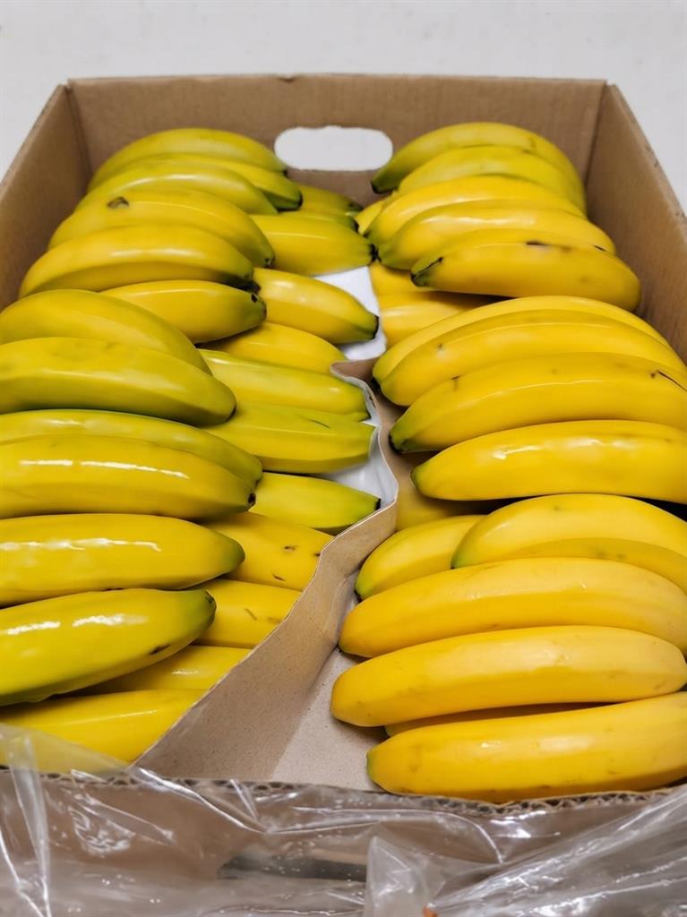 banana boliviana x 18 kg