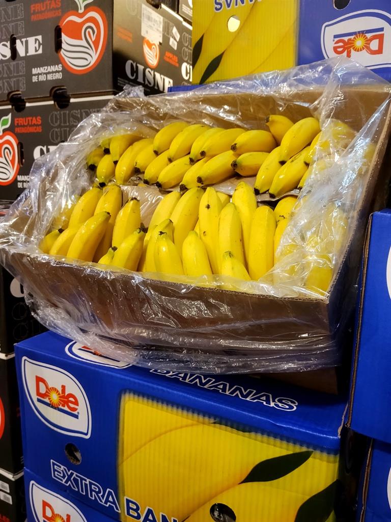 banana ecuador x 19 kg